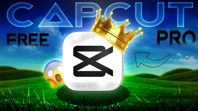 1771842805-4.jpg 1771842805-4.jpg